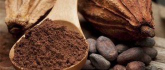 Cocoa beans and powder in a spoon
