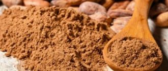 Правила выбора качественных продуктов - какао порошок и его полезные свойства