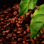 Does coffee grow in Turkey?